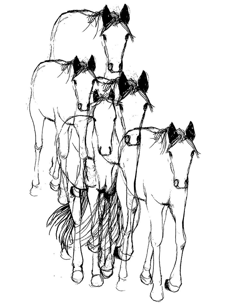 Supermaggie @ Faire - Horses Gwenn Heavyweight Tee: Off Black / Sm