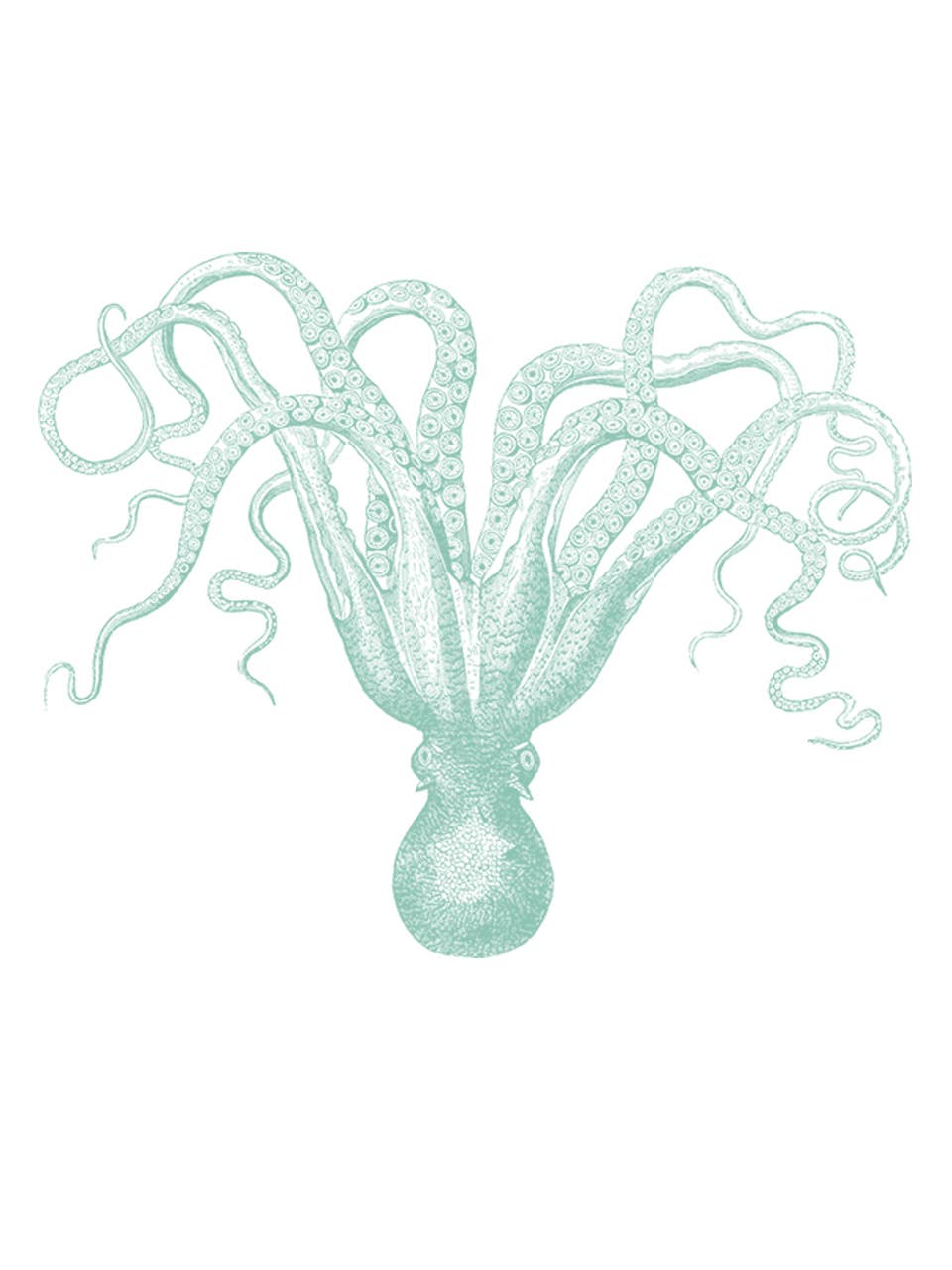 Supermaggie @ Faire - Octopus Maisie Heavyweight Muscle Tee: Off White / Lg