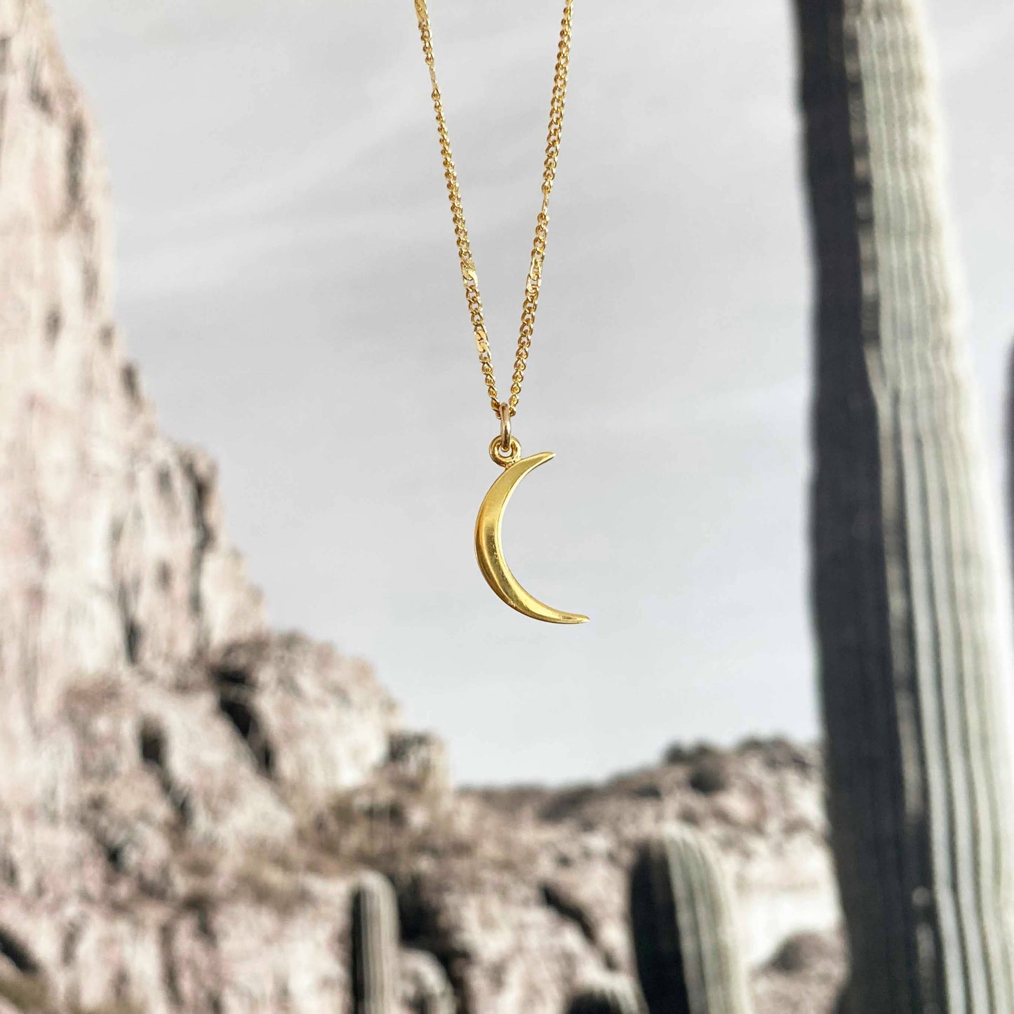 Glamrocks Jewelry - Crescent Moon Necklace: Gold / 16"