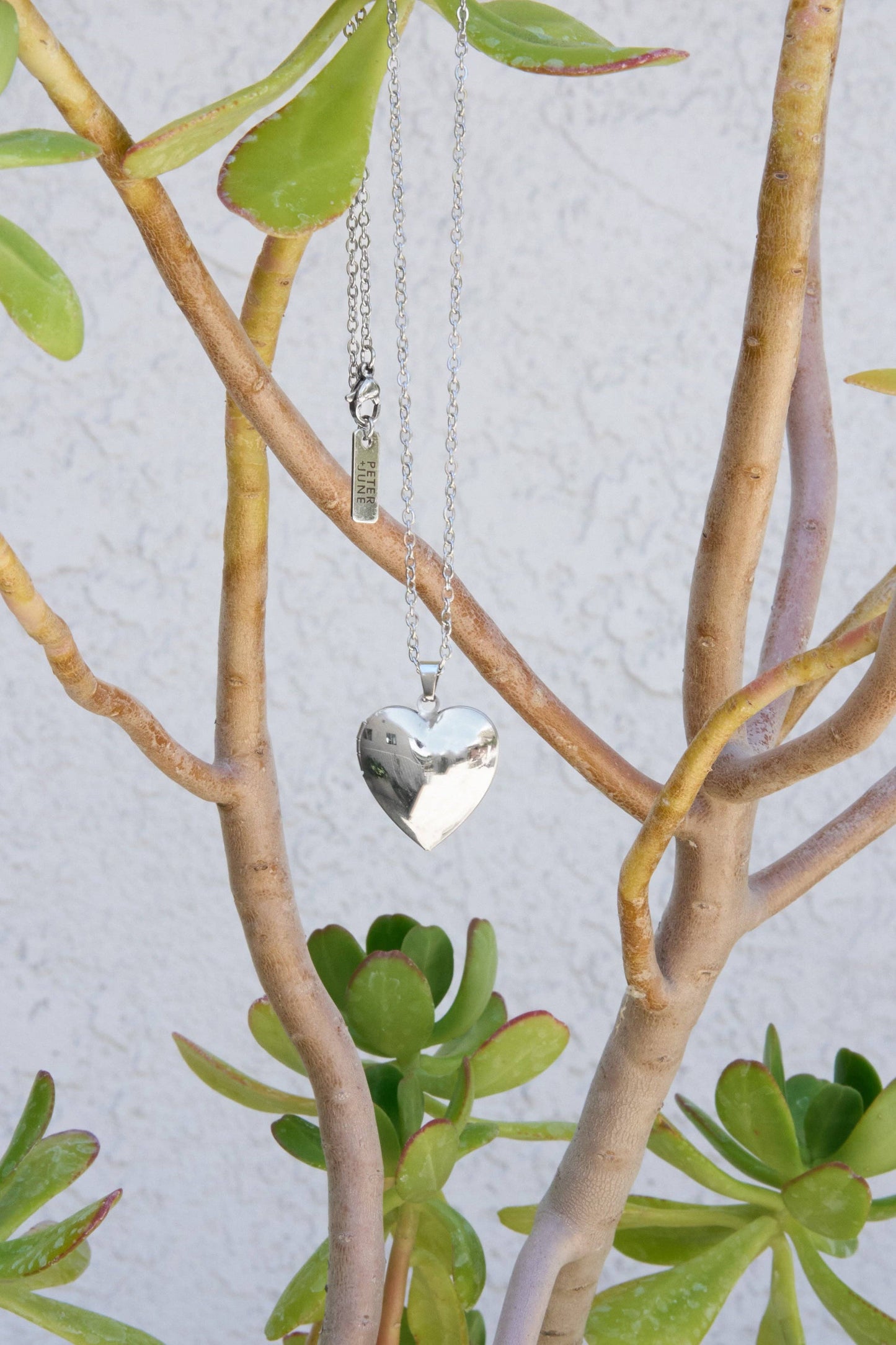 Peter and June - Locket Up Necklace: 18k gold plated