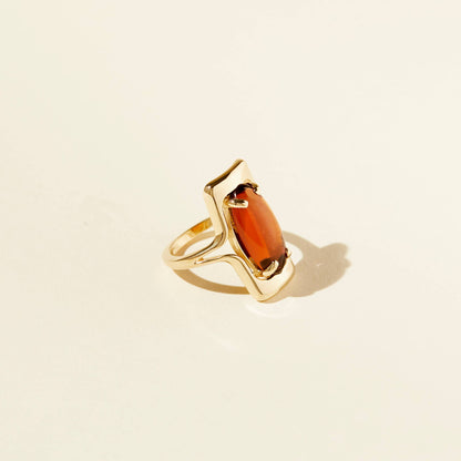 Lindsay Lewis - Walton Ring - Brown: Gold Plated / 7