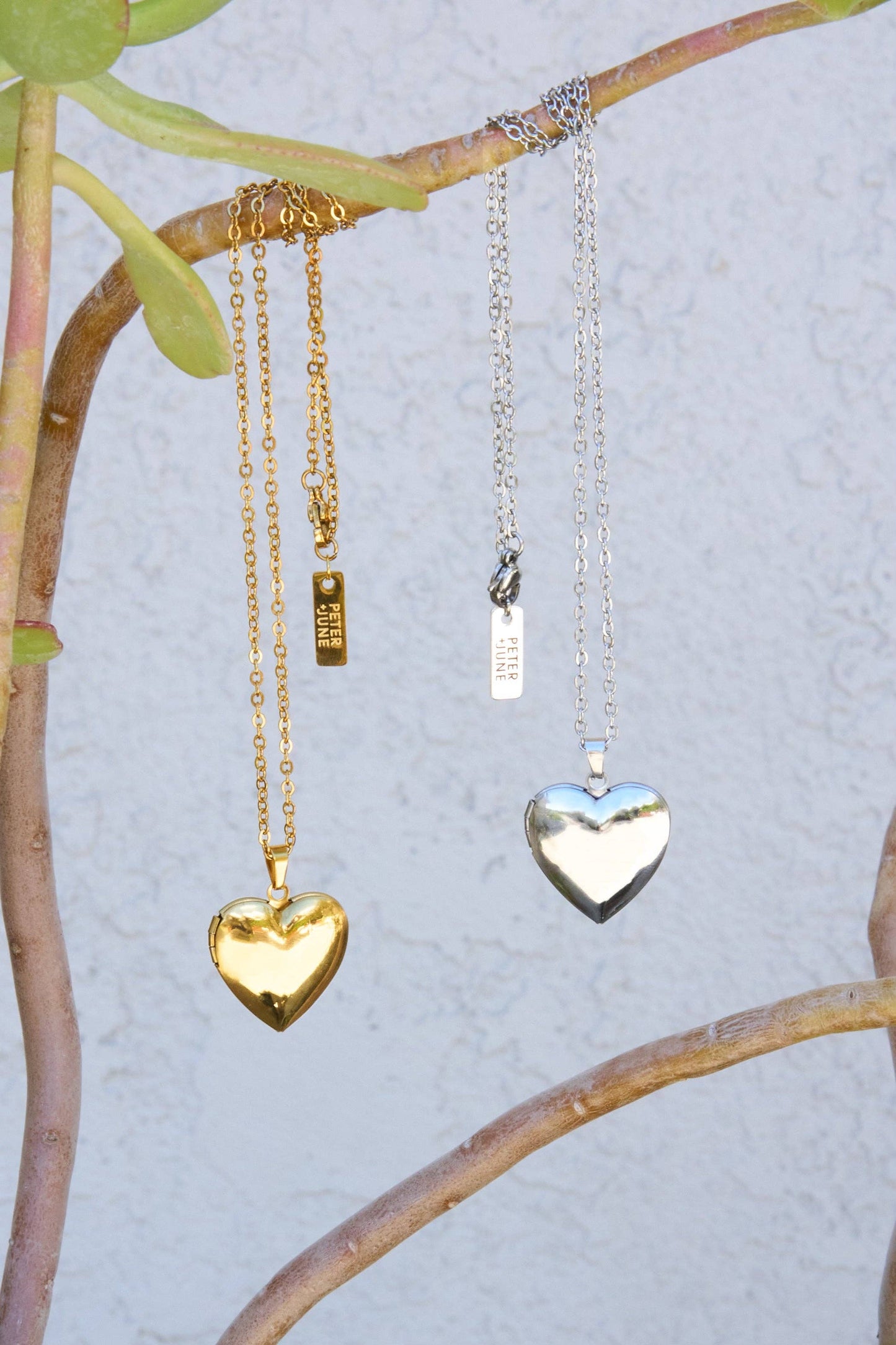 Peter and June - Locket Up Necklace: 18k gold plated