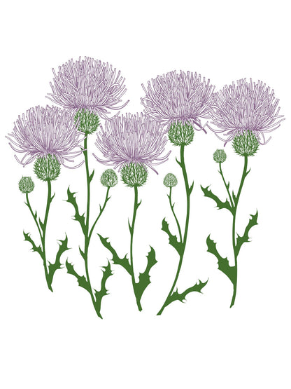 Supermaggie @ Faire - Thistles Maisie Heavyweight Muscle Tee: Off Black / Lg